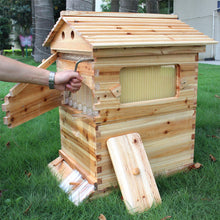 Load image into Gallery viewer, Wooden Beekeeping Beehive House +7PCS Upgraded Auto Honey Bee comb Hive Frame