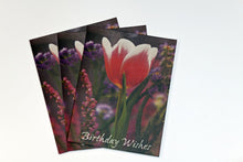 Load image into Gallery viewer, 24/48 Pack All Occasions Assorted Mixed Greeting Card Set with Envelopes 135x105mm
