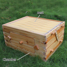 Load image into Gallery viewer, Wooden Beekeeping Beehive House +7PCS Upgraded Auto Honey Bee comb Hive Frame