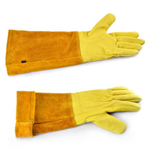 Load image into Gallery viewer, 1/2 Pairs Cowhide Gardening Leather Gloves Rose Pruning Thorn Cactus Cut Proof Long Sleeve