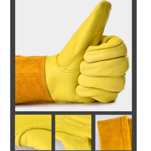 Load image into Gallery viewer, 1/2 Pairs Cowhide Gardening Leather Gloves Rose Pruning Thorn Cactus Cut Proof Long Sleeve