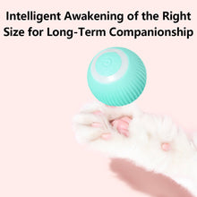 Load image into Gallery viewer, Interactive Smart Cat Toy Automatic Rolling Cat Ball Self-Moving Kitten Toys USB Rechargeable