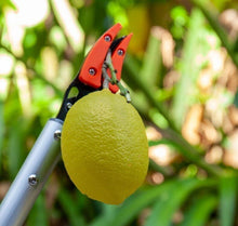 Load image into Gallery viewer, Fruit Picking Apron & Shears – Harvest Ripe Produce with Ease