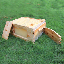 Load image into Gallery viewer, Wooden Beekeeping Beehive House +7PCS Upgraded Auto Honey Bee comb Hive Frame