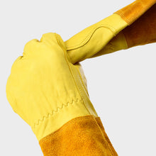 Load image into Gallery viewer, 1/2 Pairs Cowhide Gardening Leather Gloves Rose Pruning Thorn Cactus Cut Proof Long Sleeve