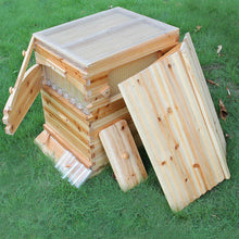Load image into Gallery viewer, Wooden Beekeeping Beehive House +7PCS Upgraded Auto Honey Bee comb Hive Frame