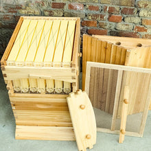 Load image into Gallery viewer, Wooden Beekeeping Beehive House +7PCS Upgraded Auto Honey Bee comb Hive Frame
