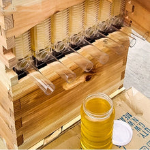 Load image into Gallery viewer, Wooden Beekeeping Beehive House +7PCS Upgraded Auto Honey Bee comb Hive Frame