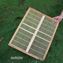 Load image into Gallery viewer, Wooden Beekeeping Beehive House +7PCS Upgraded Auto Honey Bee comb Hive Frame