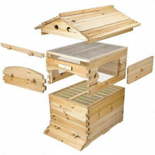 Load image into Gallery viewer, Wooden Beekeeping Beehive House +7PCS Upgraded Auto Honey Bee comb Hive Frame