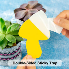 Load image into Gallery viewer, 30pcs Dual Sided Strong Sticky Glue Trap Insect Killer Plant Fruit Fly Bugs Catcher