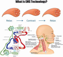 Load image into Gallery viewer, Portable Lymphatic Relief USB Rechargeable Neck Massager EMS Neck Acupoint Massage Device 6 Model