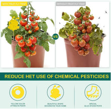 Load image into Gallery viewer, 30pcs Dual Sided Strong Sticky Glue Trap Insect Killer Plant Fruit Fly Bugs Catcher