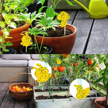 Load image into Gallery viewer, 30pcs Dual Sided Strong Sticky Glue Trap Insect Killer Plant Fruit Fly Bugs Catcher