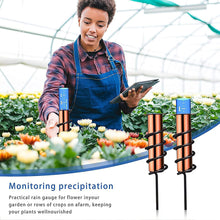 Load image into Gallery viewer, Floating Copper Rain Gauge Outdoor Metal Water Gauge Set for Lawn Garden
