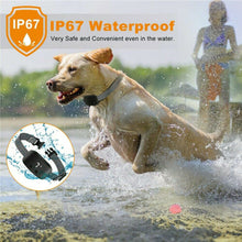 Load image into Gallery viewer, New Compact Anti Barking Pet Dog Training Collar Rechargeable Waterproof Sound-Vibrate-Shock