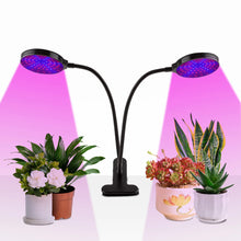 Load image into Gallery viewer, USB 2 Head LED Plant Grow Light Growing Lamp for Greenhouse Veg Flower