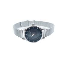 Load image into Gallery viewer, Mesh band mood watch