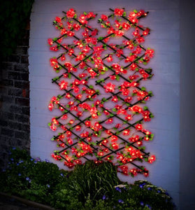 Solar Powered Expandable Cherry Blossom Trellis with 70 Warm White LED Lights