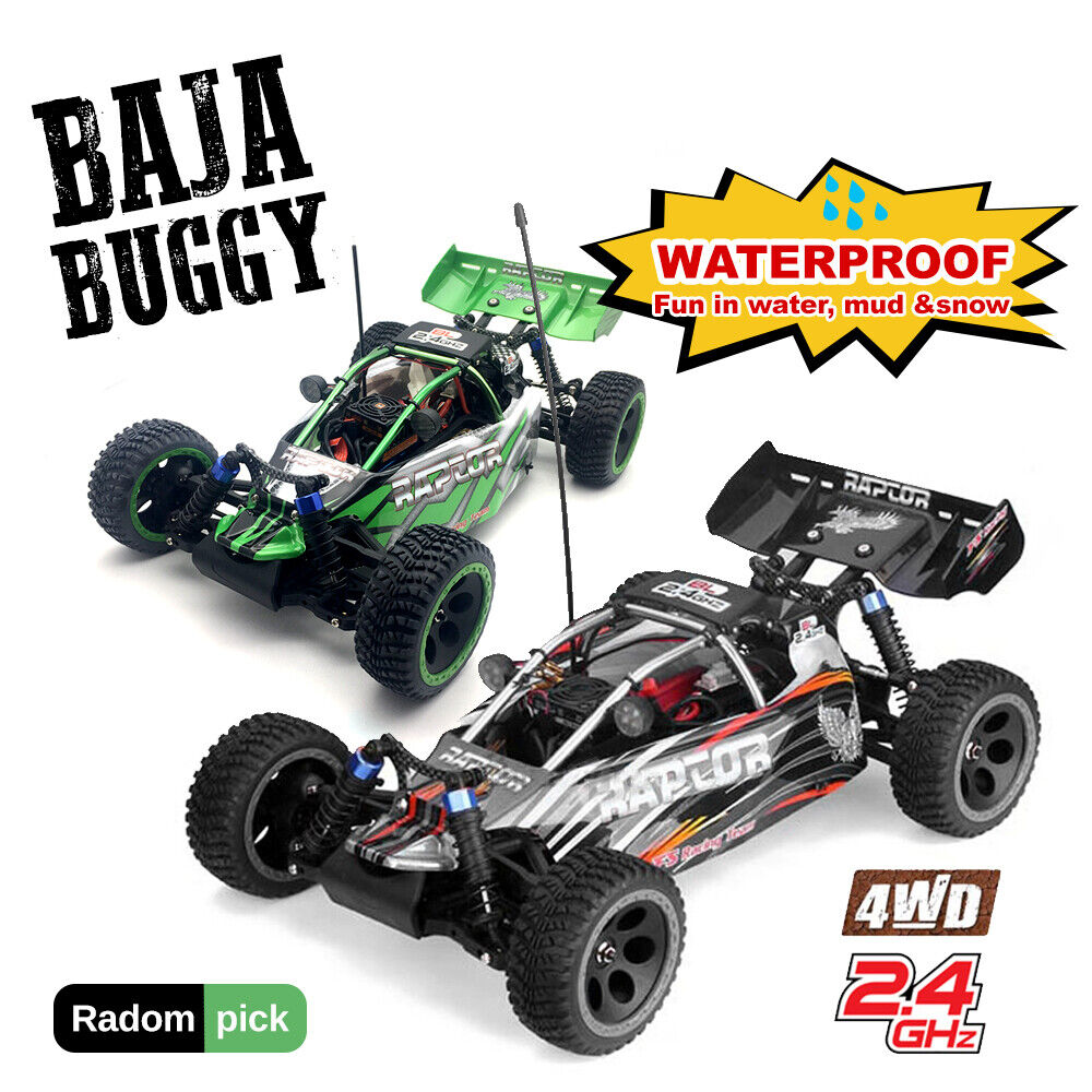 Brushless FS Raptor Racing 1/10 4WD 2.4GHz RC Remote Off Road Buggy RT ...
