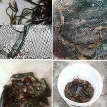 Load image into Gallery viewer, 12 Holes Magic Fishing Trap Full Automatic Folding Shrimp Cast Cage Crab Fish Net
