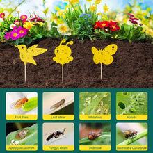 Load image into Gallery viewer, 30pcs Dual Sided Strong Sticky Glue Trap Insect Killer Plant Fruit Fly Bugs Catcher
