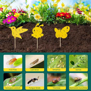 30pcs Dual Sided Strong Sticky Glue Trap Insect Killer Plant Fruit Fly Bugs Catcher